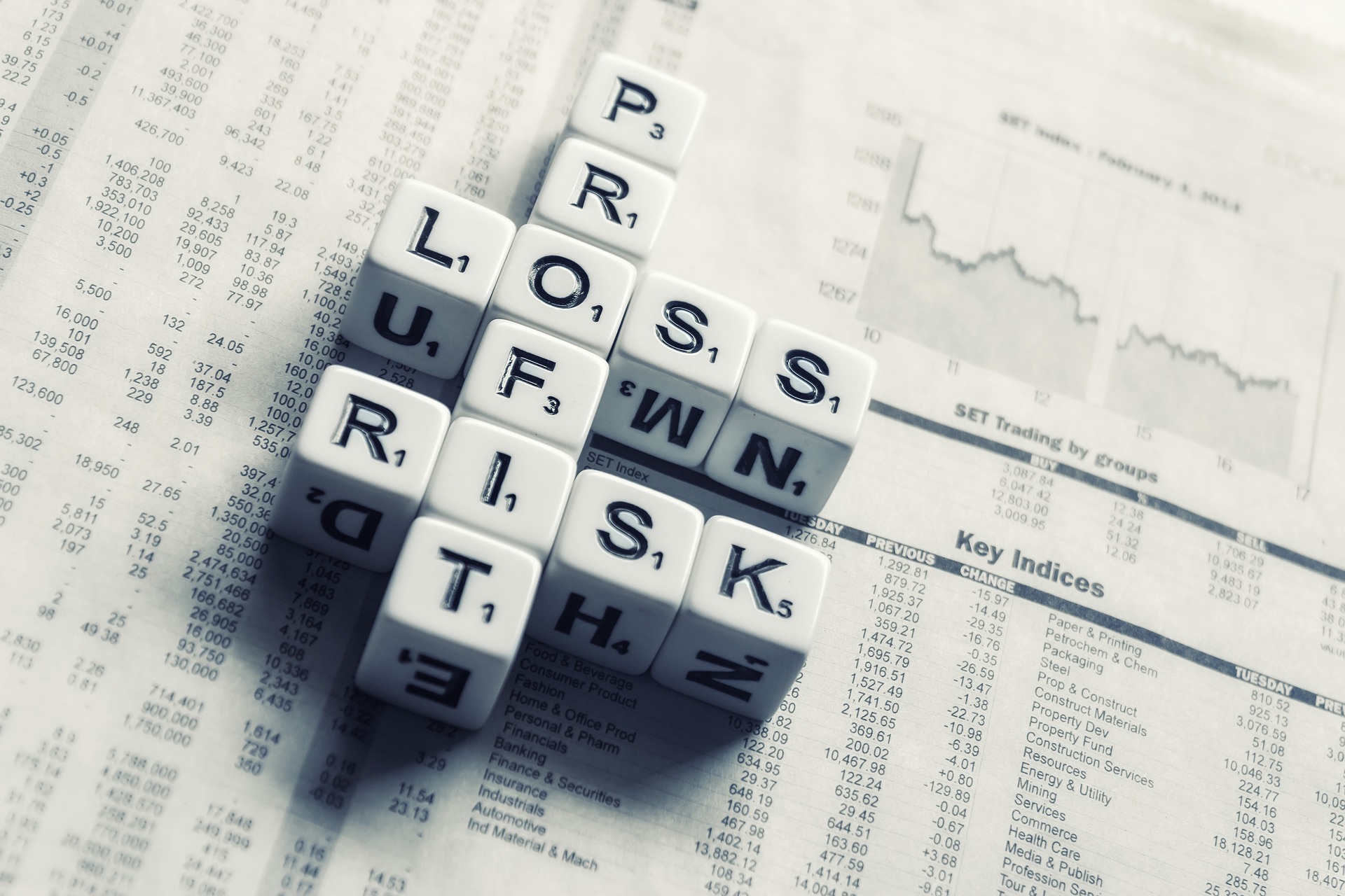 Risk Profit Loss